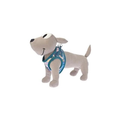 Ferribiella Am St.Tropez L 36-39cm/45-51cm Slike