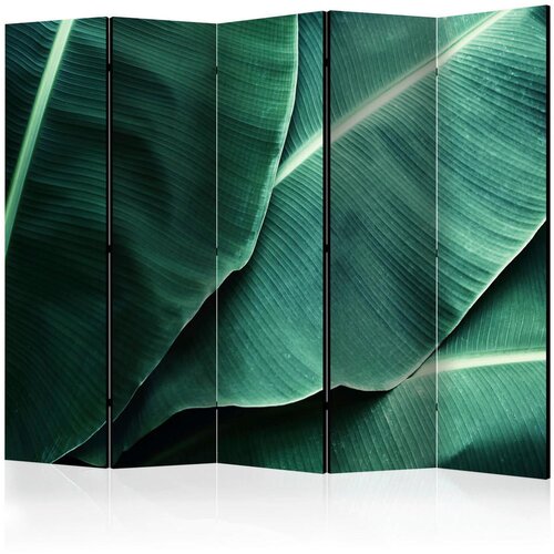 Artgeist PARAVAN 225/172/3 cm temno zelena, metino zelena Slike