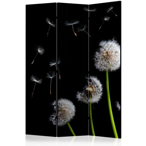  Paravan u 3 dijela - Dandelions in the wind [Room Dividers] 135x172 Cijene