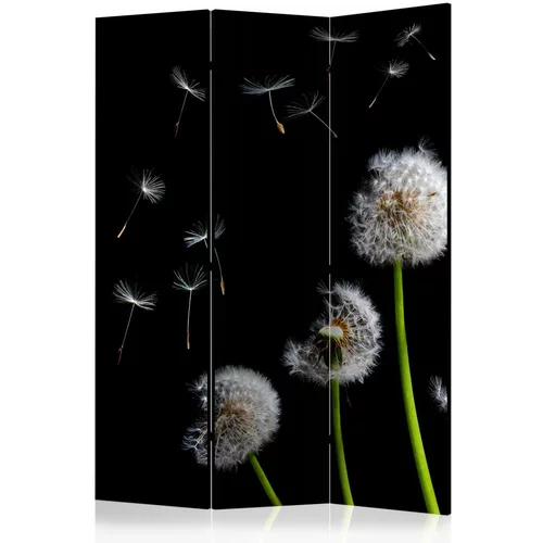  Paravan u 3 dijela - Dandelions in the wind [Room Dividers] 135x172