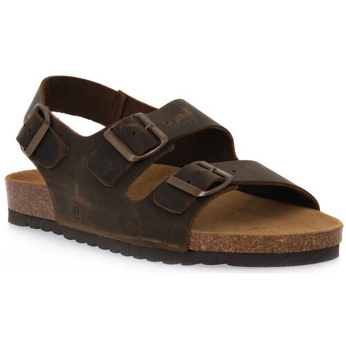 Bioline Natikači 880 INGRASSATO MARRONE Kostanjeva Slike