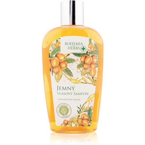 Bohemia Gifts & Cosmetics Bohemia Herbs Argan Oil šampon za lase 250 ml Cene