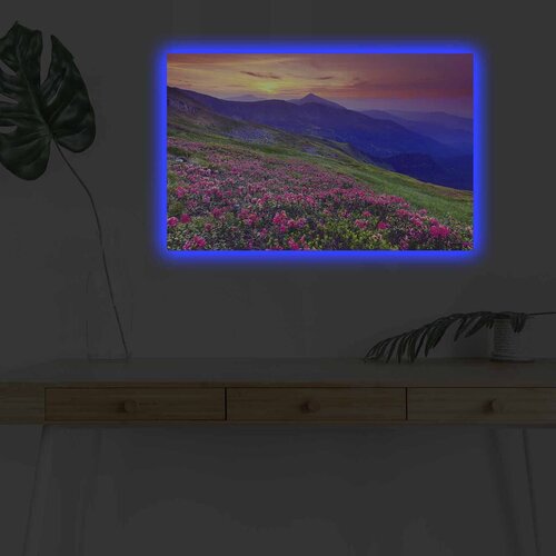 Wallity Slika sa LED osvetljenjem 4570DHDACT-094, 45x70 cm Cene