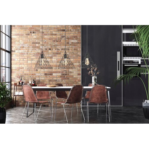Toolight stropna svjetiljka u stilu loft LH2058 Slike