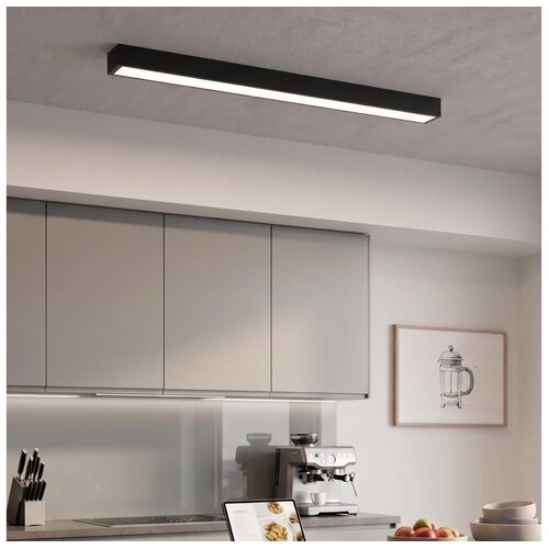  LED plafonski/luster na sajli LED/44W/230V 4000K 120 cm crna Cene