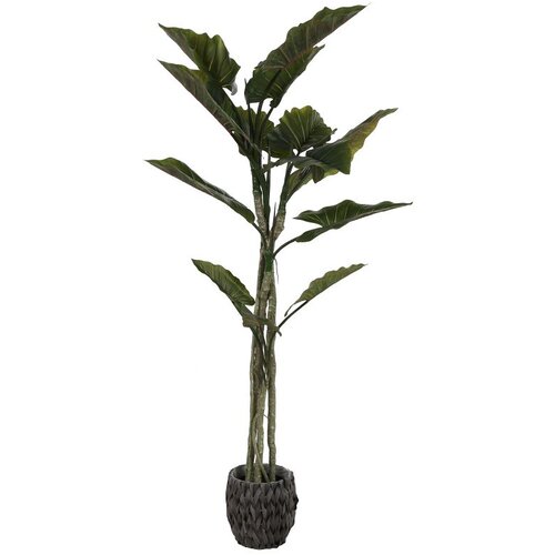  Umjetni taro 190 cm Cene