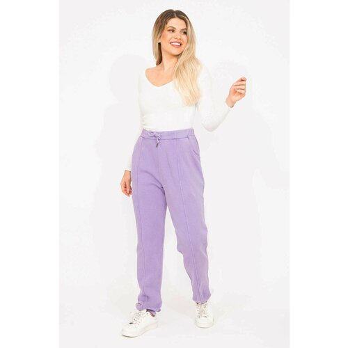 Şans Women's Plus Size Lilac 3-Thread Fabric, Cup Stitched Tracksuit Bottom Slike