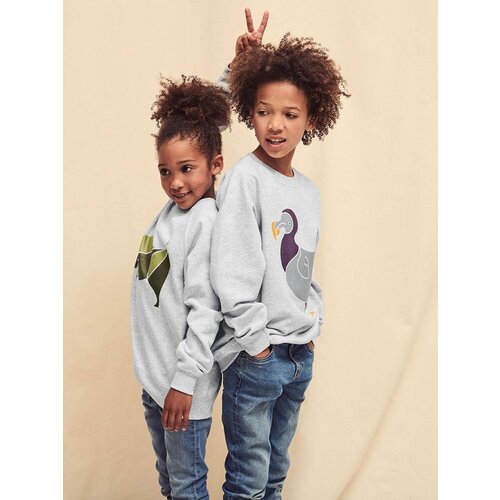 Fruit Of The Loom Light grey Raglan Sweat Cene