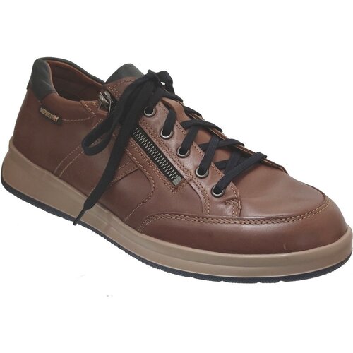 Mephisto Lisandro w Smeđa Slike