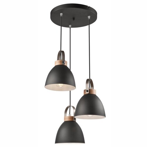  Luster na sajli DANIELLE 3xE27/60W/230V Cene