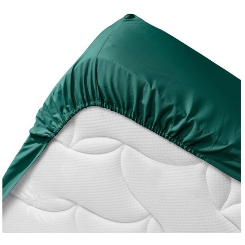 Douceur d int&amp;eacute;rieur Zelena plahta s gumom od organskog pamuka 160x200 cm Biolina &amp;ndash; Slike