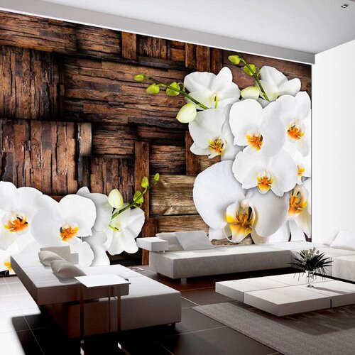  Tapeta - Blooming orchids 100x70 Slike