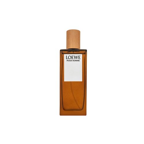 Parfem za muškarce Loewe S0583990 EDT 50 ml Cijene