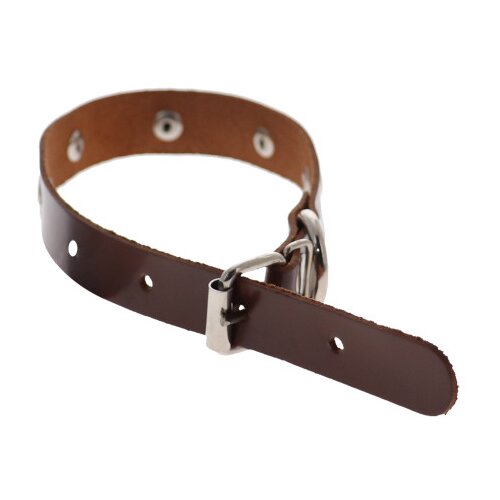 Master Ogrlica kožna za psa 20 sa ukrasima 2013 Slike