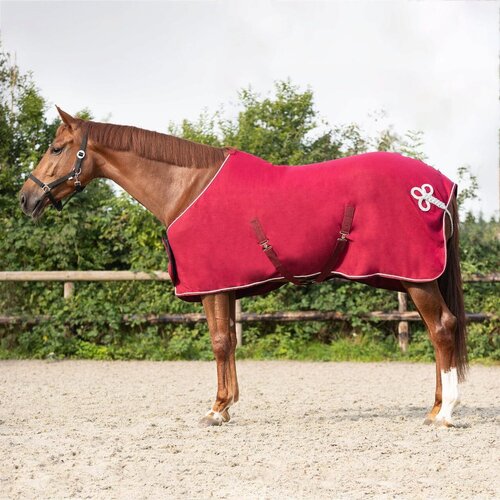 Brands of Q Pregrinjalo iz flisa z ornamentom, bordo/srebrno - 145 cm Cene