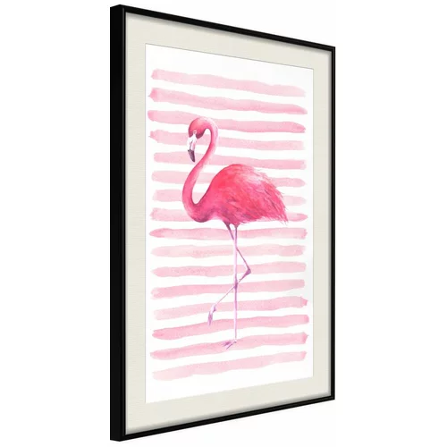  Poster - Pink Madness 40x60