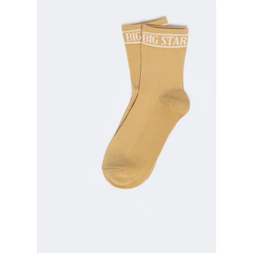 Big Star Woman's Standard Socks 210494 801