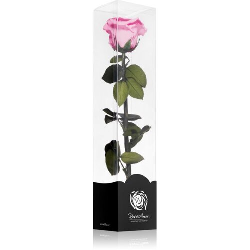 RoseAmor Pink stabilizirana vrtnica na steblu 30 cm 1 kos Slike