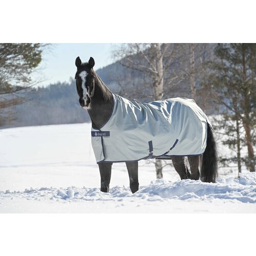 Bucas Power Turnout srednje srebrn, 150g - 135 cm Cene