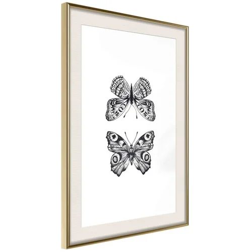  Poster - Butterfly Collection I 30x45