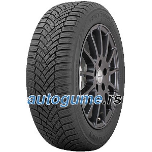 Toyo Observe EWS1 205/55 R17 95V Slike