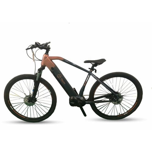 X-plorer E-bike MTB KILIMAJARO 29" R19.5 Cene