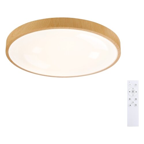  Brilagi-LED prigu&amp;scaron;iva svetiljka GLASS POOL DOUBLE LED/60W/230V 50 cm dekor drveta + daljinski upravljač Slike