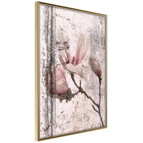  Poster - Queen of Spring Flowers III 20x30