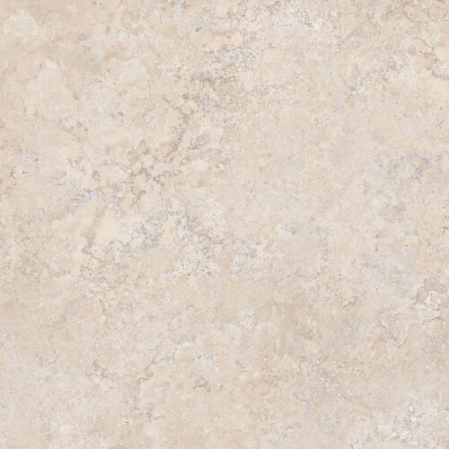  Pantheon Evolution Ebur 100x100 Cene