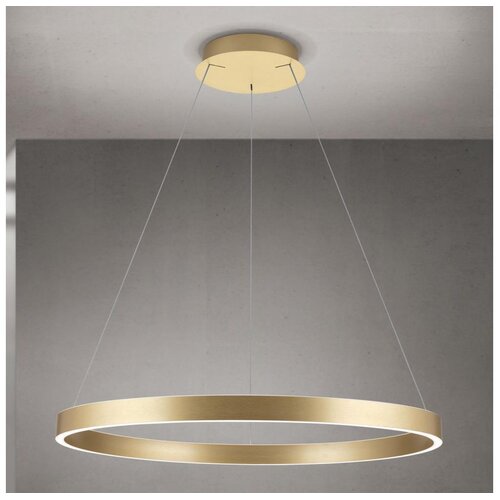 Orion led luster na sajli, prigu&amp;scaron;iva, kolk LED/80W/230V 2700/3000/4000K prečnika 80 cm, zlatna Slike