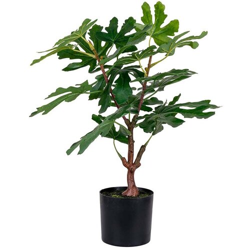 House Nordic Umetno drevo v cvetličnem loncu Fig tree Slike