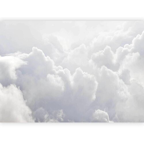Artgeist Fototapeta Clouds Lightness, 100x70cm Cene