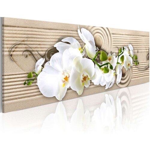  Slika - Desert Flower 120x40 Slike