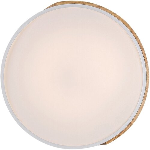 Rabalux maple, plafonjera, mat bela, led 24W 1760lm 3000K Slike
