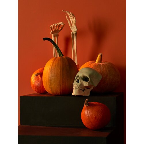 Sinsay Halloween dekoracija Cijene