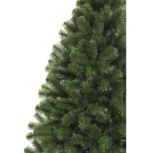  Božićna jelka na panju 220 cm jela Slike