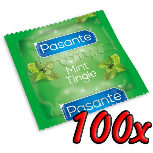 Pasante Mint Tingle 100 pack