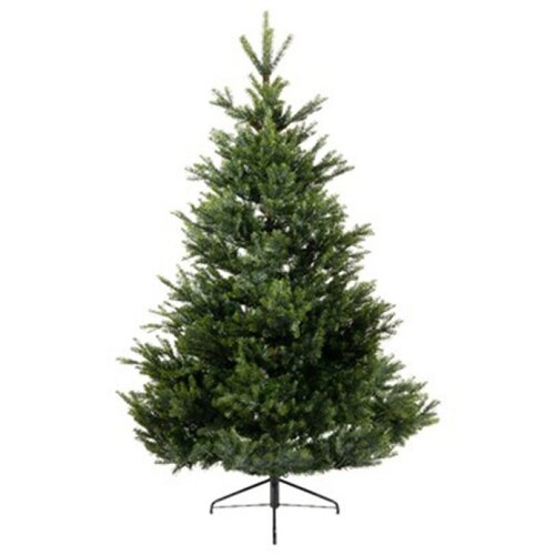  Novogodi&scaron;nja jelka Arlberg fir 150cm-100cm Everlands 68.4380 Cene