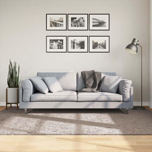 vidaXL Košata preproga moderna bež 160x230 cm Cene