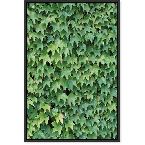  Slika - Thick Ivy (1 Part) Vertical 40x60 Slike