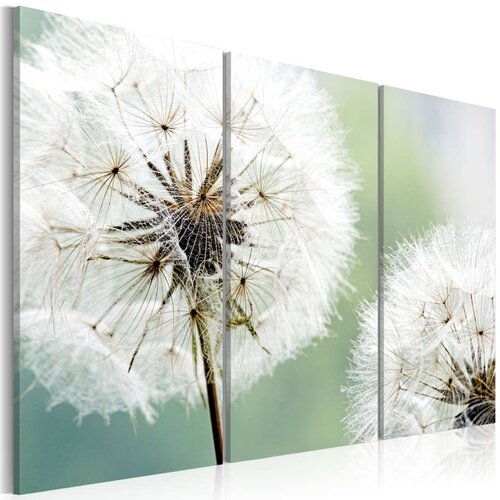  Slika - Fluffy dandelions 90x60 Cijene