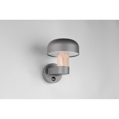  Zidna vanjska svjetiljka (visina 24,5 cm) Fraser &amp;ndash; Slike