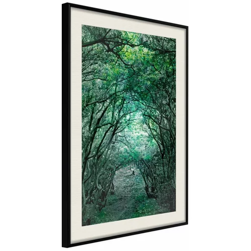  Poster - Tree Tunnel 20x30
