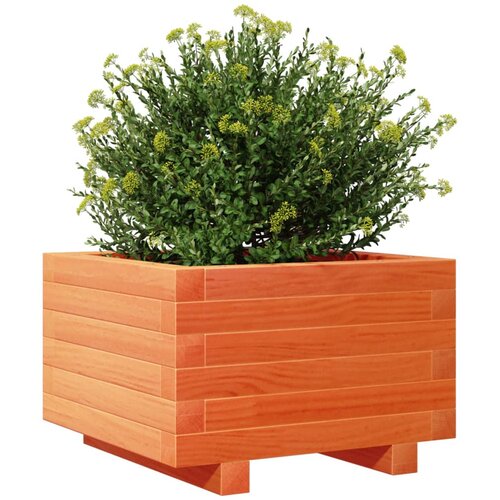  Vrtna sadilica vo&amp;scaron;tano smeđa 40x40x26,5 cm masivna borovina Slike
