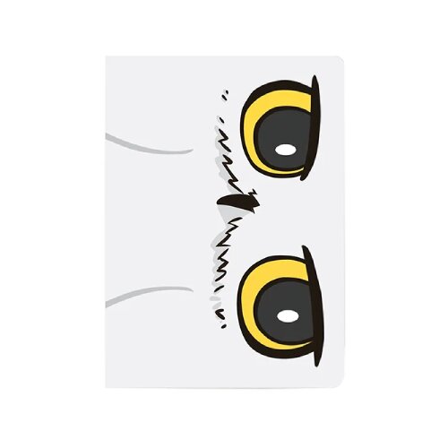 Half Moon Bay Harry Potter - Notes Flex A5 - Harry Potter, Hedwig Cene