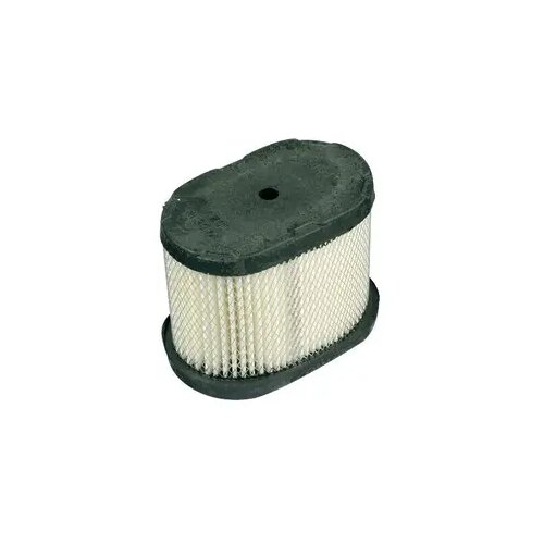  Filter vazduha Briggs & Stratton 690610 Cene