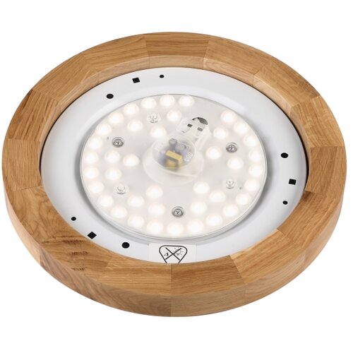  Brilagi - LED stropna svetiljka BELLADONNA LED/20W/230V prečnik 30 cm bela/hrast Slike