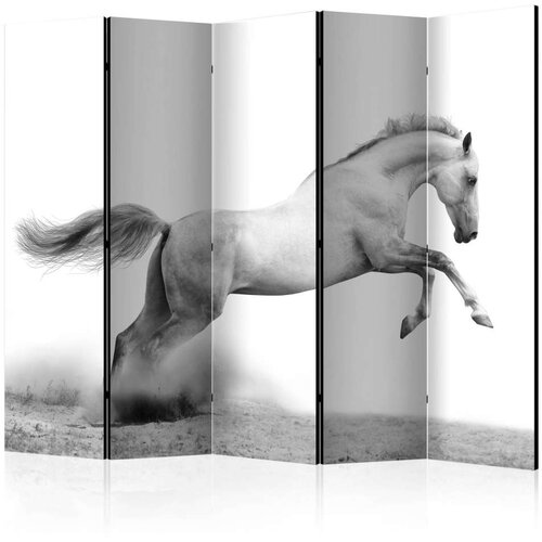  Paravan u 5 dijelova - White gallop II [Room Dividers] 225x172 Slike