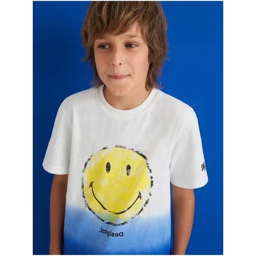 Desigual Blue-white boys T-shirt with print Carambola - Boys