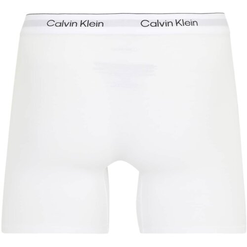 Calvin Klein Underwear Boksarice kamen / črna / bela Slike